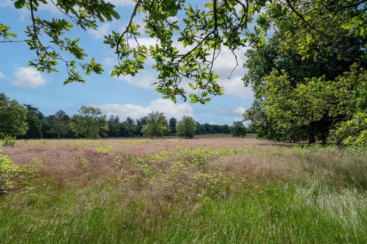 Landhuisje 31 'De Akkersteen' Bospark Ijsselheide Zwolle Hattemerbroek Dış mekan fotoğraf